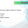 Frugal Innovation: Adaptive Solutions for Pakistan